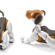 Illustration for article titled Sony Gives Aibo a New Paint Job and Plans to Teach It Some Home Security Tricks